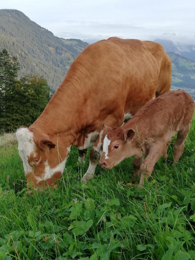 Ferienwohnung Hahnenkammblick Kitzbühel Exterior foto