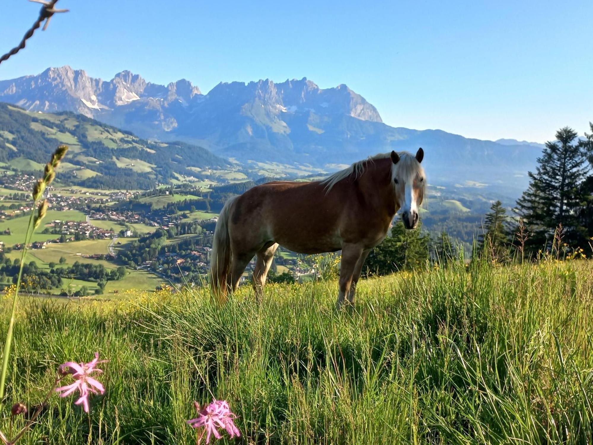Ferienwohnung Hahnenkammblick Kitzbühel Exterior foto