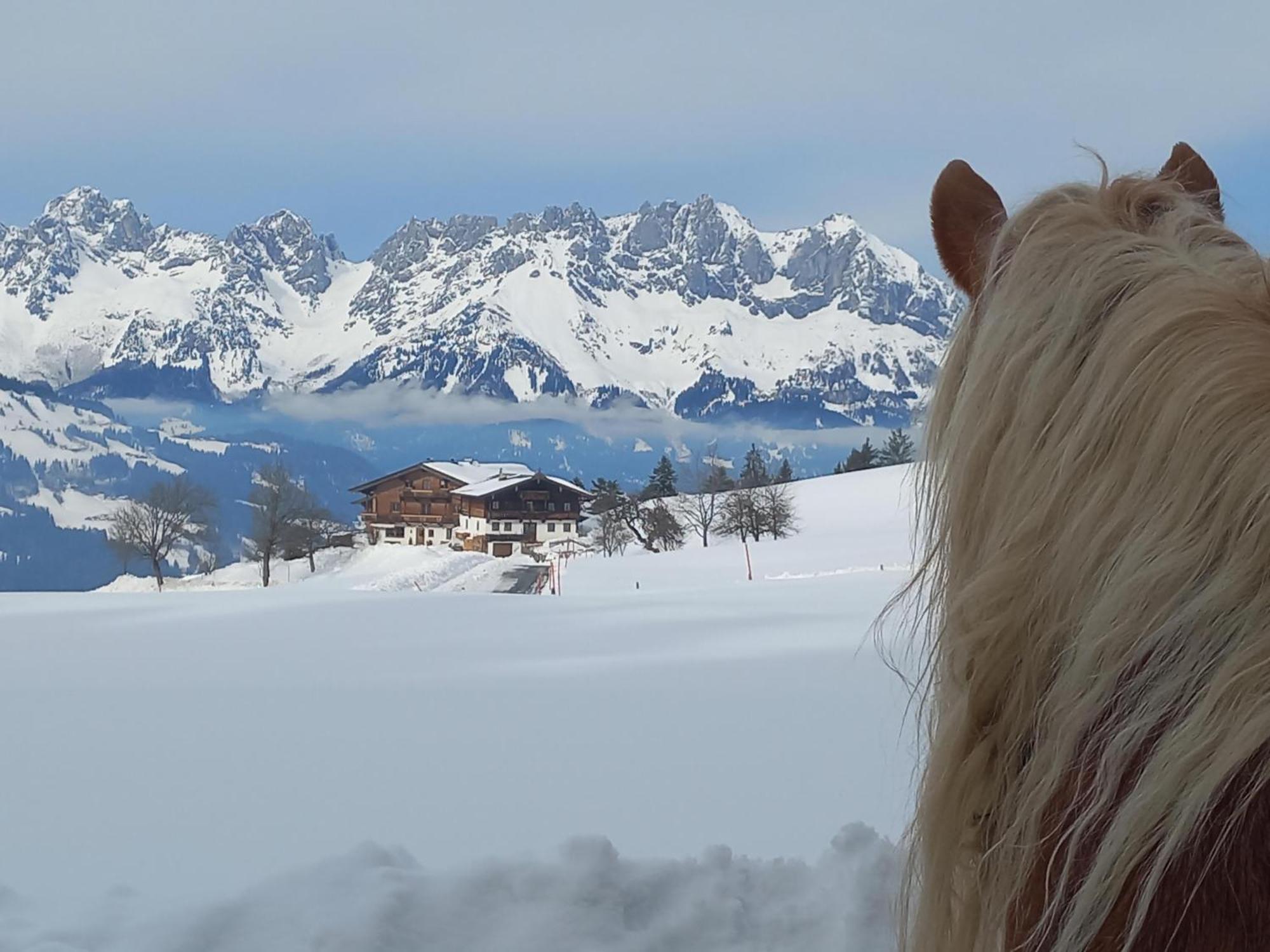 Ferienwohnung Hahnenkammblick Kitzbühel Exterior foto