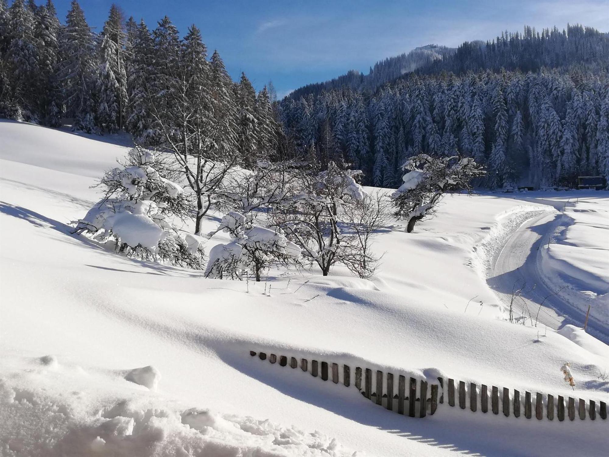 Ferienwohnung Hahnenkammblick Kitzbühel Exterior foto
